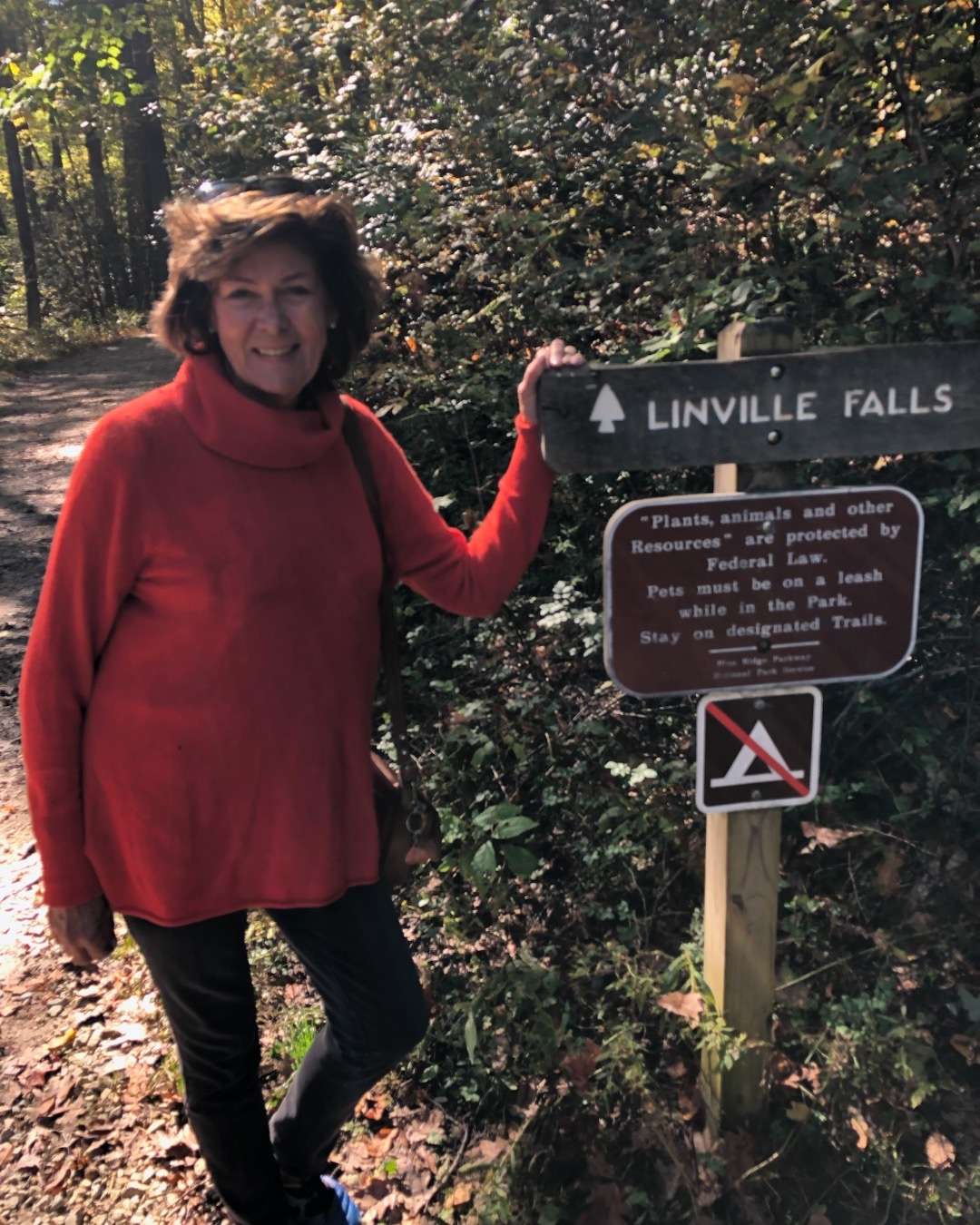 The Deep South USA - North Carolina Mts